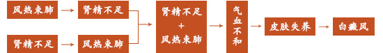 中医辨证施治白癜风